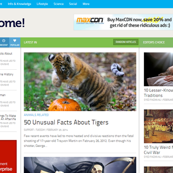 Awesome-Mag-Blogger-Template.png