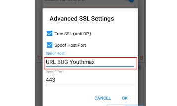 Anonytun Pake Youthmax | cara menggunakan anonytun telkomsel youthmax dan videomax Anonytun Pake Youthmax | cara menggunakan anonytun telkomsel youthmax dan videomax