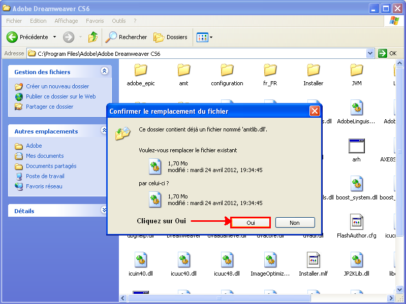 remplacer amtlib.dll