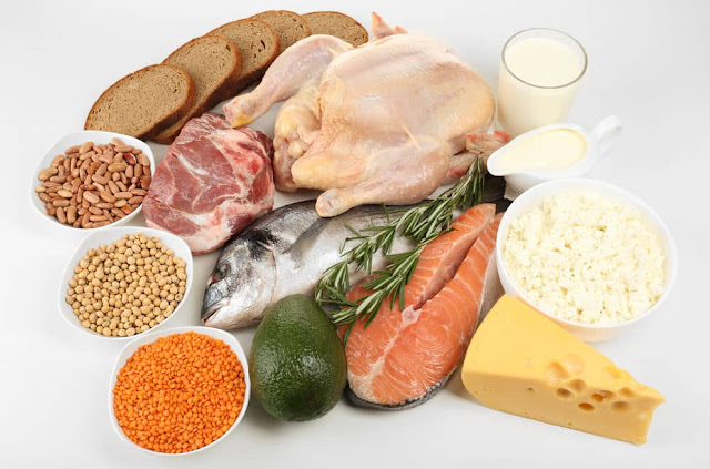 alimentos com alto teor de proteínas alimentos com alto teor de proteínas