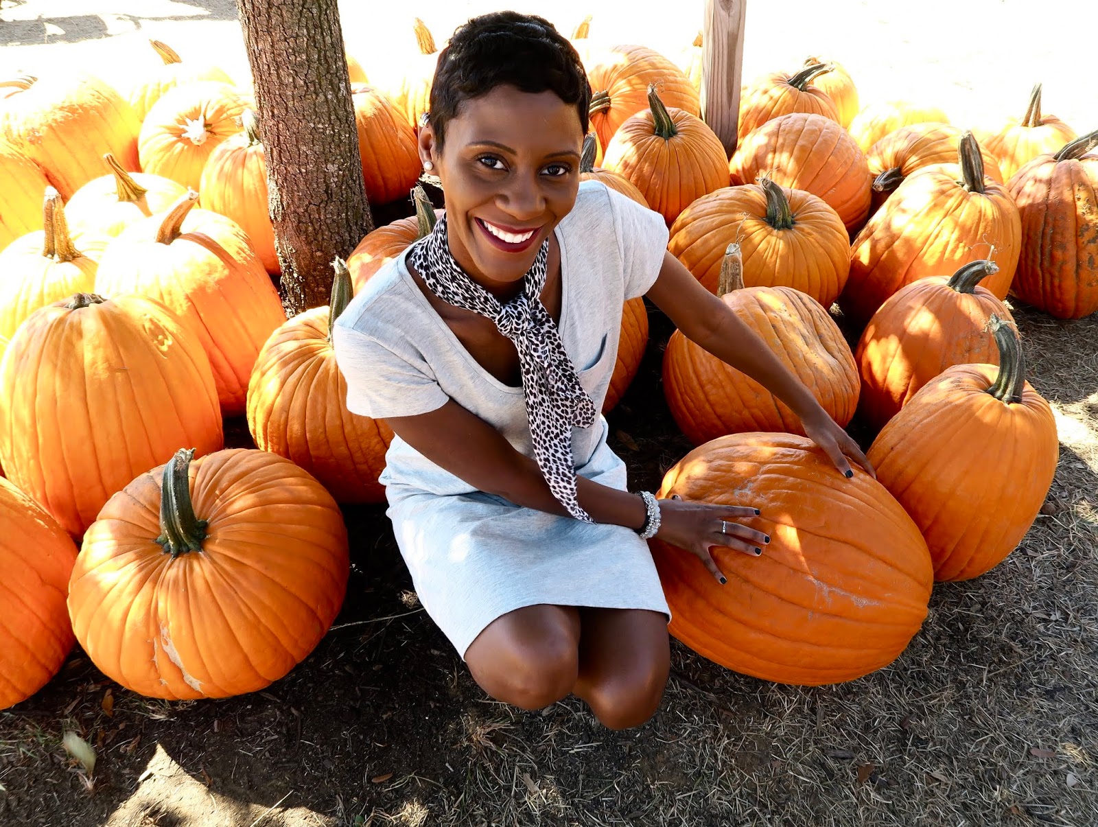 Pumpkins Walking All Around Us In The Fall Pumpkins Walking All Around Us In The Fall