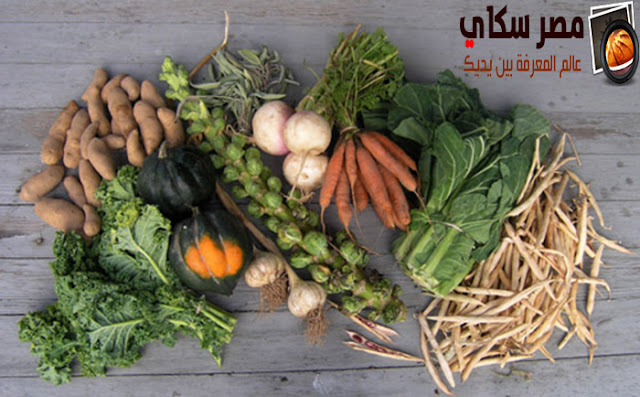 طرق تجفيف وحفظ 10 أنواع من الخضروات Drying vegetables طرق تجفيف وحفظ 10 أنواع من الخضروات Drying vegetables