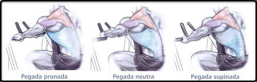 remada-articulada-2.jpg