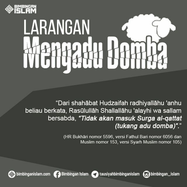 Hadits Tentang Adu Domba Sumber Ilmu