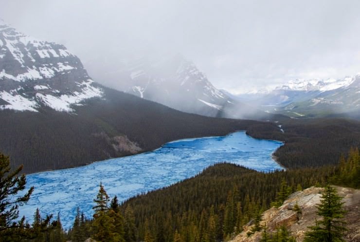 A Spectacular Turquoise Peyto Lake in Canada