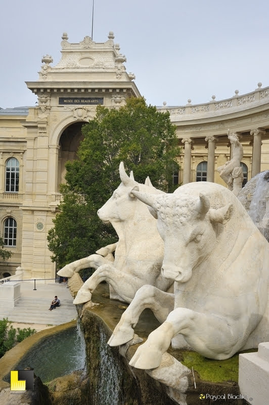 les taureaux du palais longchamp marseille photo Pascal Blachier