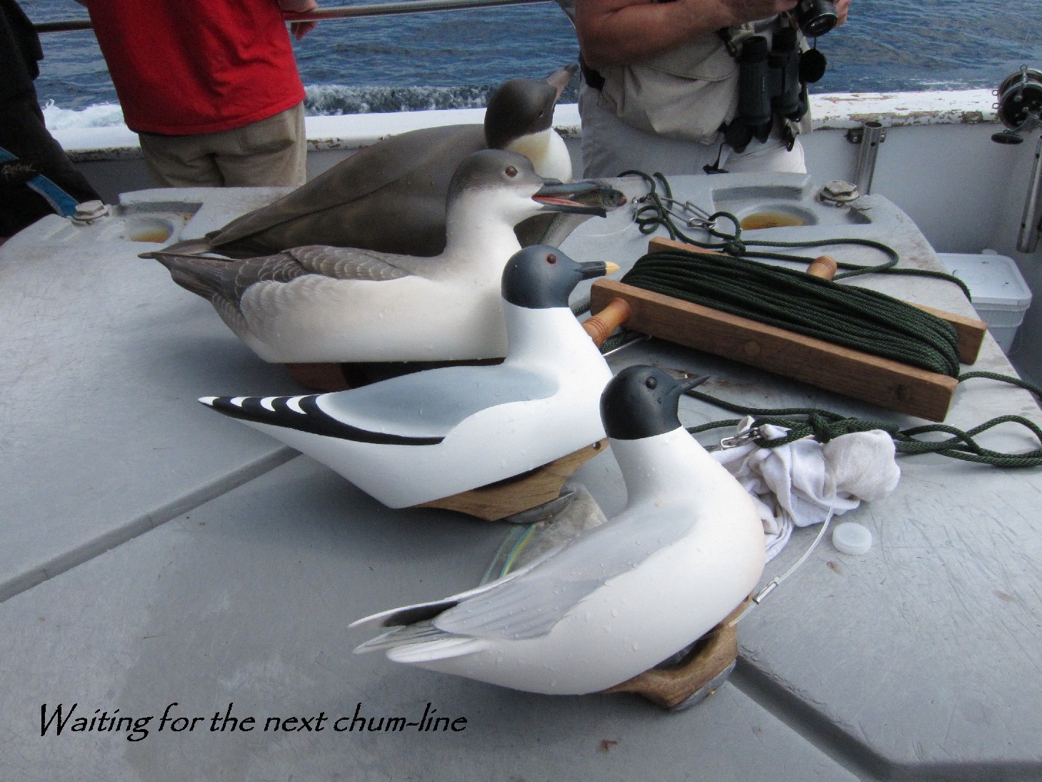 Keith Mueller Bird Carvings Sea Bird Decoys 1 (Test)