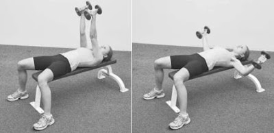Dumbbell Pec Fly Dumbbell Pec Fly