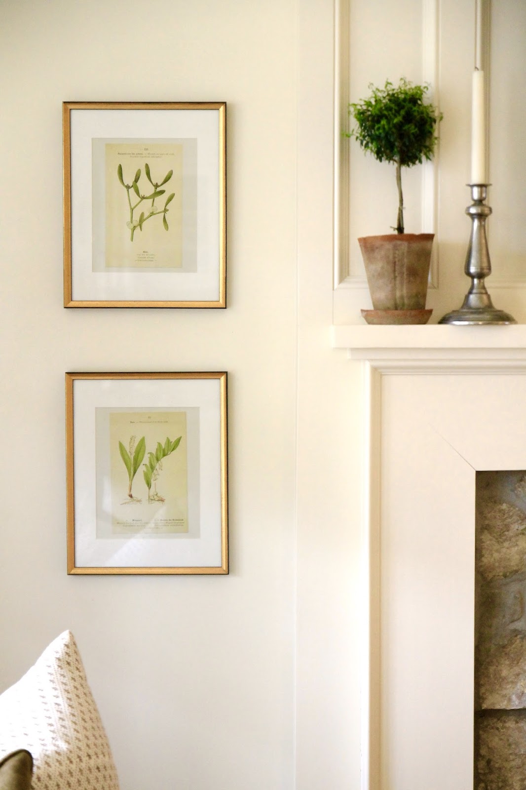 Jenny Steffens Hobick Gold Leaf Frames Mat Boards Botanical Gold Leaf Frames Mat Boards Botanical Prints Gallery Wall Favorites