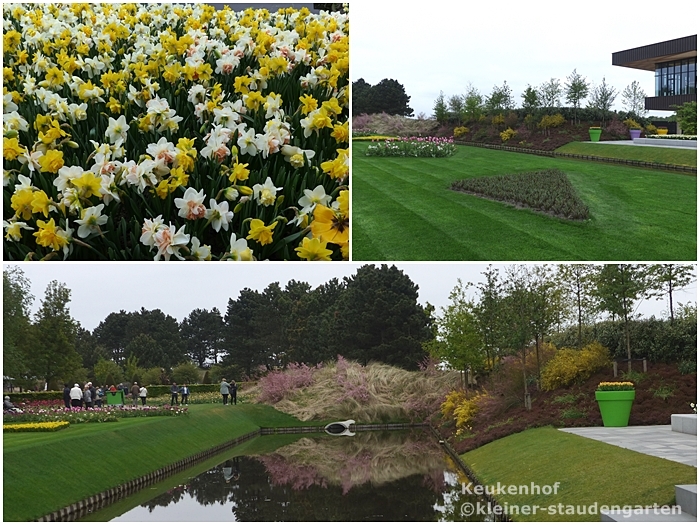 kleinerstaudengarten Tulpenglück im Keukenhof