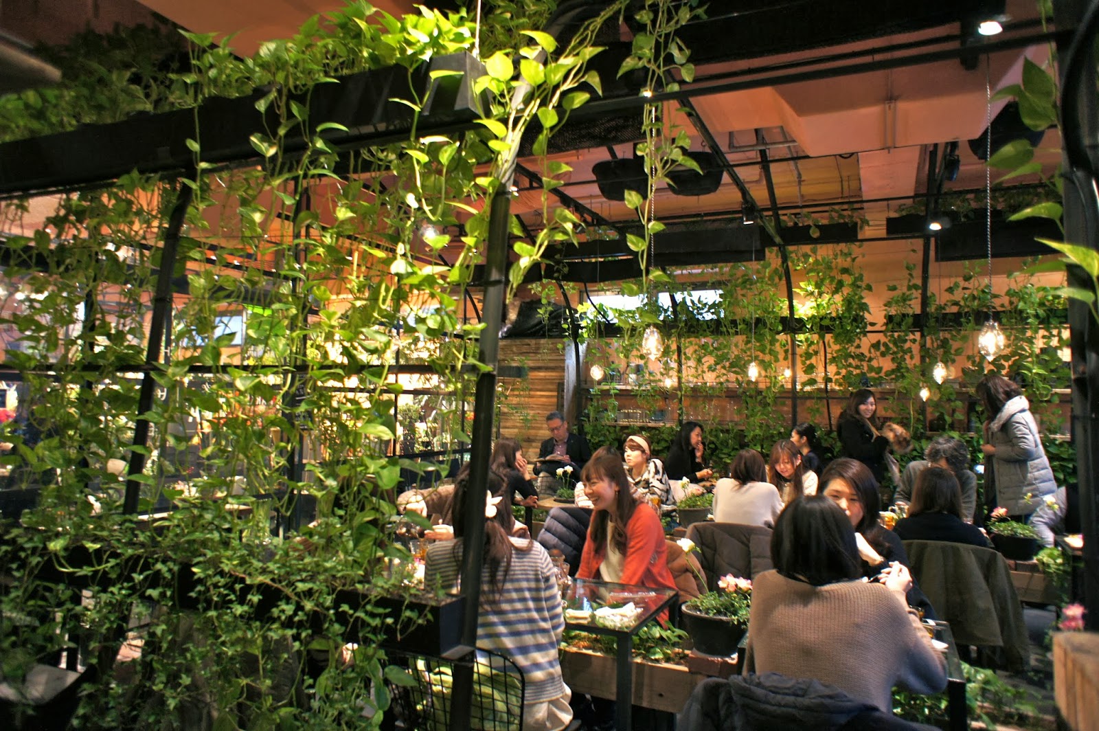 Tokyo Cafes Aoyama Flower Market Tea House Vikingess Voyages