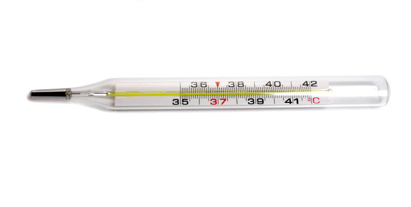 Liquid In Glass Thermometer Principle - Inst Tools