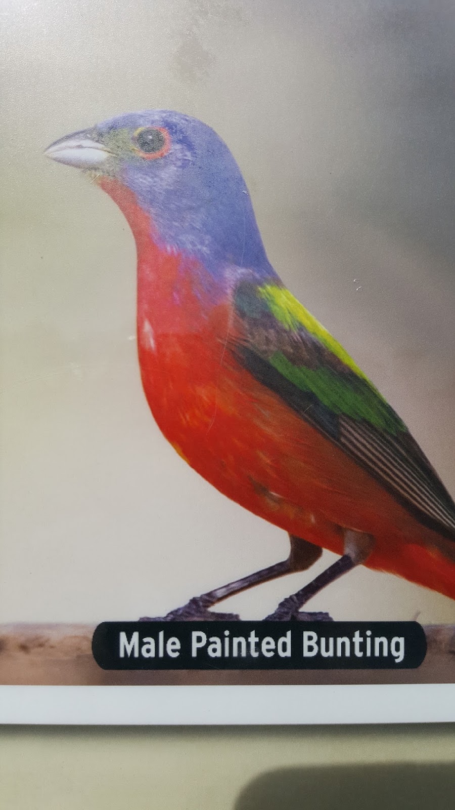 J and B and Lady Blue Potter's Creek COE, Canyon Lake, Texas