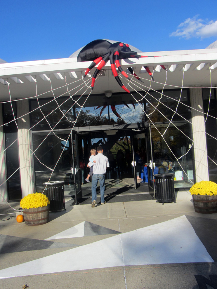 A Rolling Crone Presidential Pumpkins &amp; Cool Halloween Decor