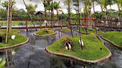Taman Kelinci Milkindo Taman Kelinci Milkindo Kepanjen Malang