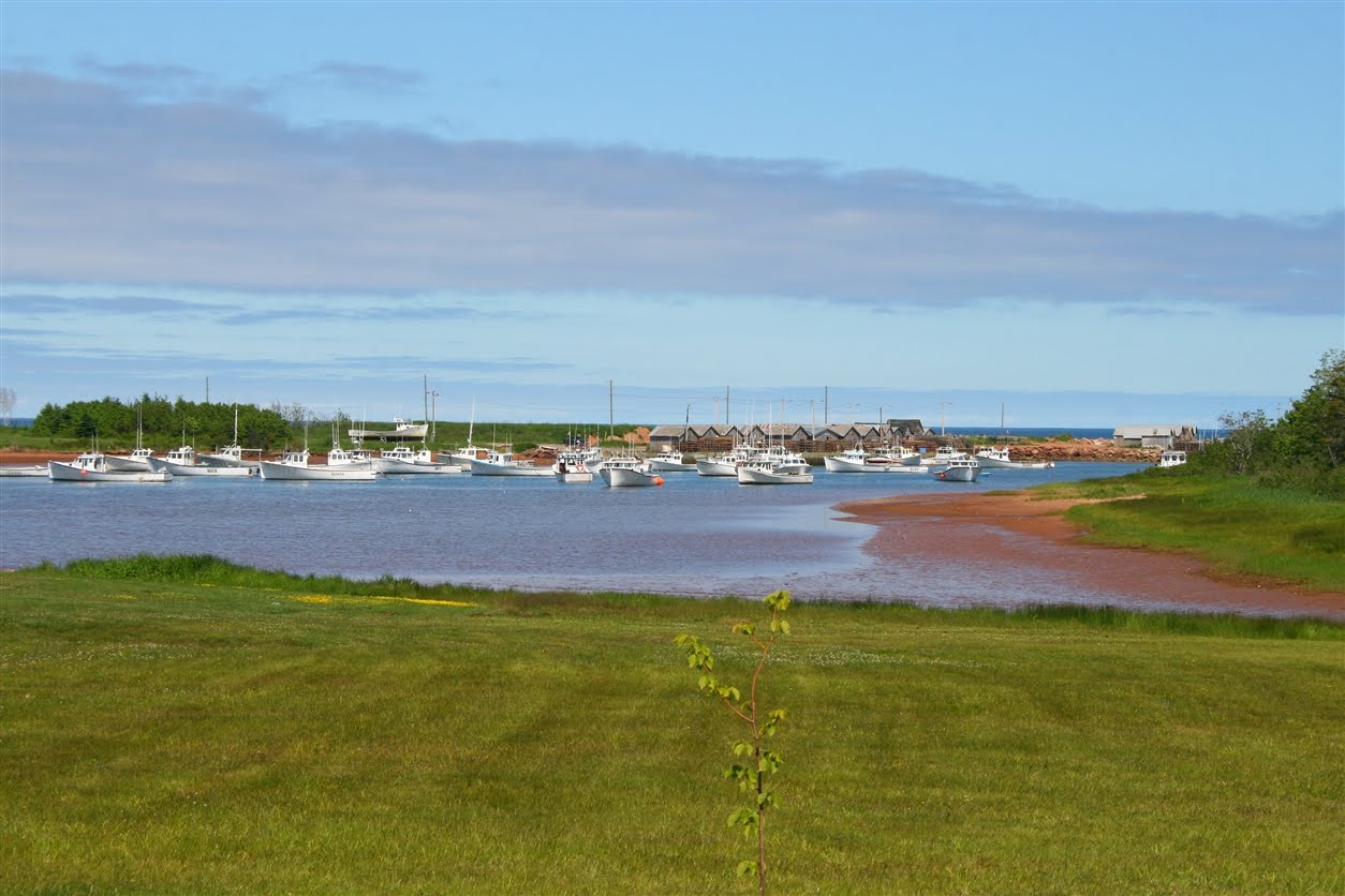 Pintus Journeys Panmure Island