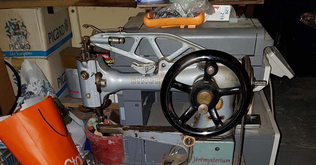 Jérémysterium Singer 29k71