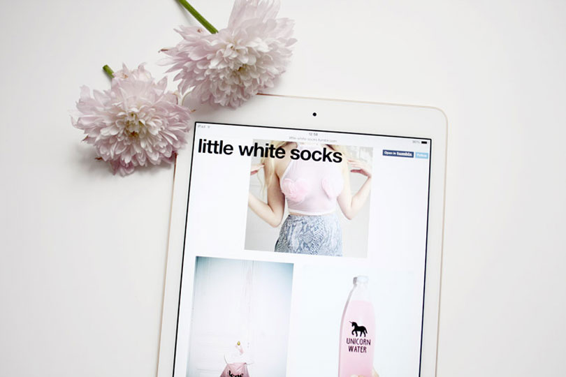 a beginners guide to tumblr