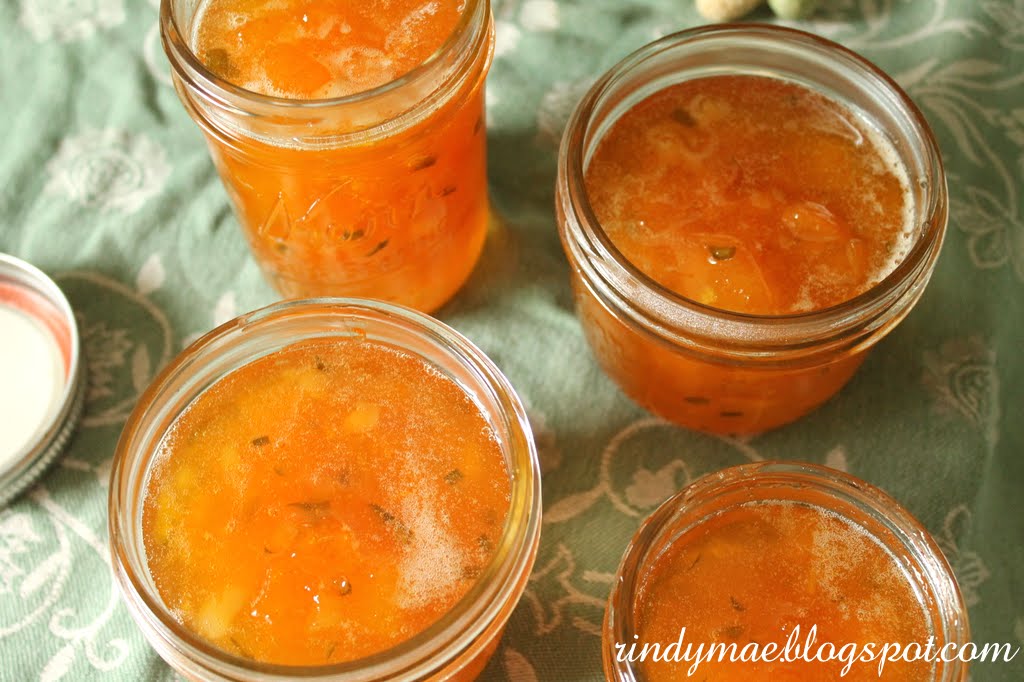 Rindy Mae ApricotJalapeno Jam