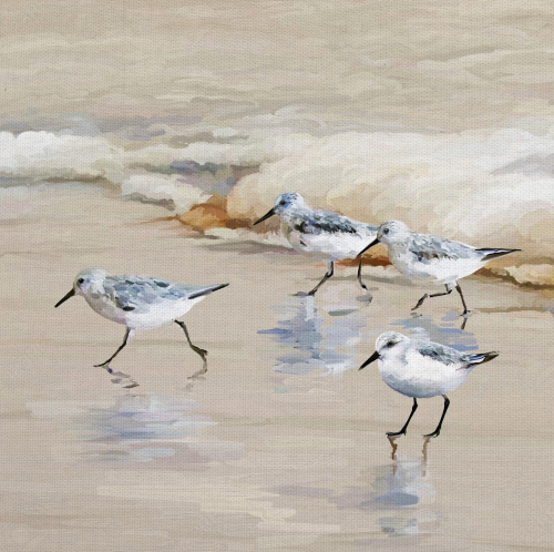 Sandpiper Beach Art Print