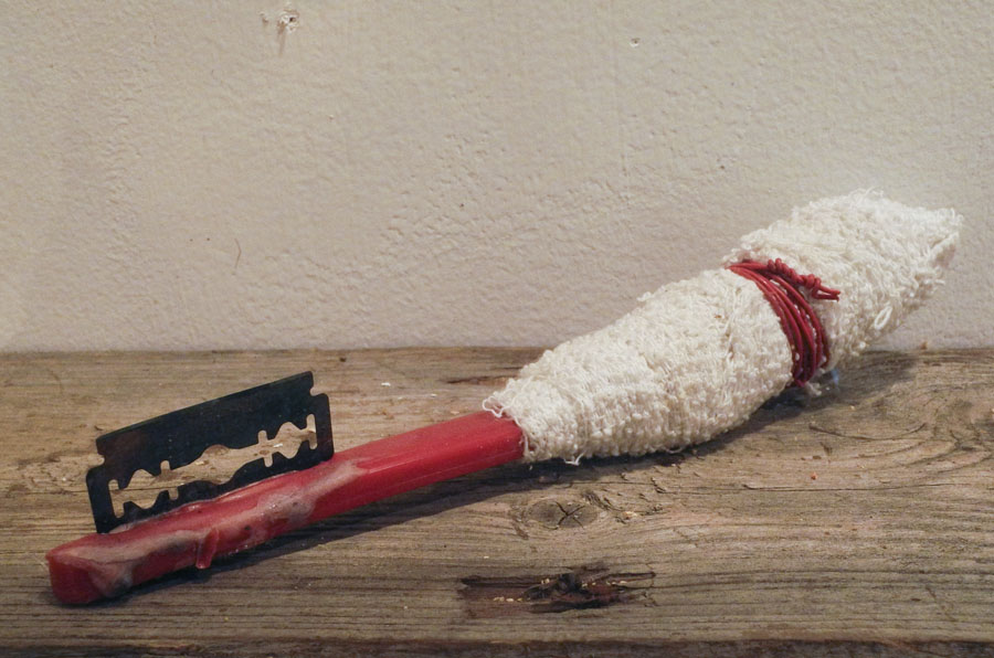 Studio and Garden The Story of the Toothbrush at the Museum of