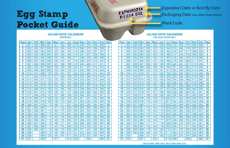 Pam's Backyard Chickens How to Understand Egg Carton Labeling