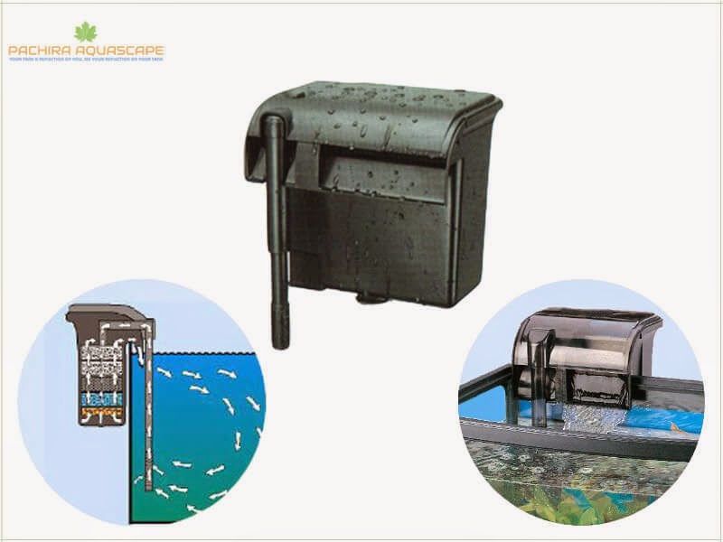 Jenisjenis filter untuk aquascape Aquascape Pemula