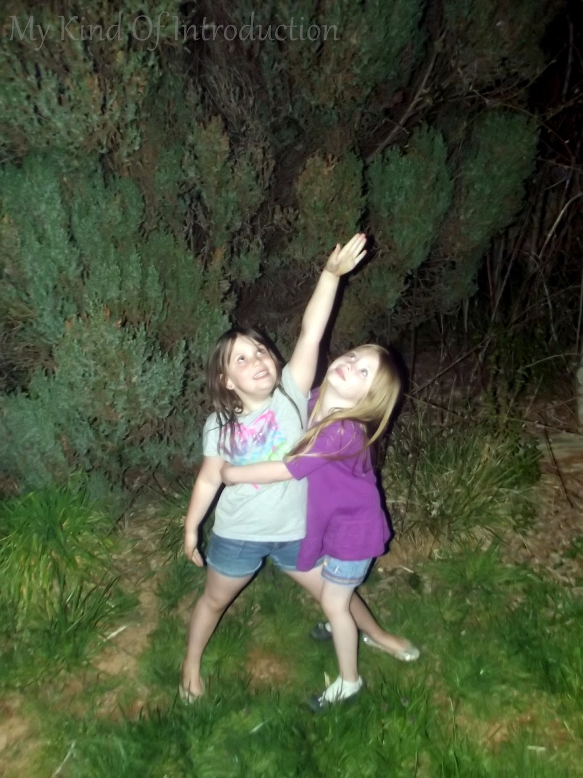 My Kind Of Introduction: Making Memories With My Daughters