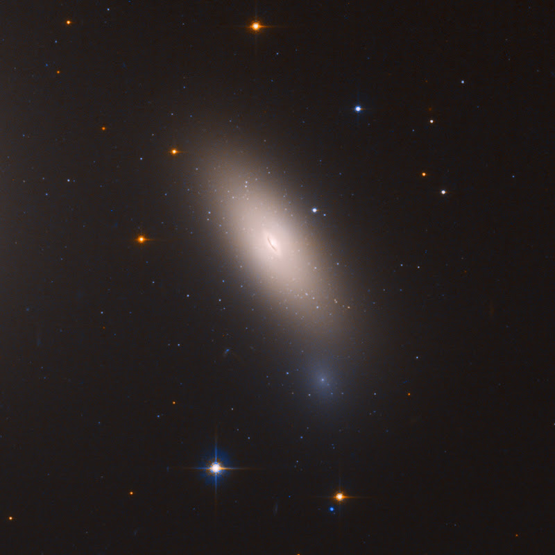 Hình ảnh chụp từ Kính Viễn vọng Không gian Hubble cho thấy NGC 1277, một thiên hà độc đáo có những nét giống những thiên hà từ vũ trụ sơ khai. NGC 1277 gồm những ngôi sao già được hình thành từ cách đây 10 tỷ năm. Nằm cách Trái Đất 240 triệu năm ánh sáng, nó được gọi là thiên hà "đỏ và chết" vì không còn đủ nhiên liệu để tạo ra những ngôi sao mới. Hình ảnh: M. Beasley(Instituto de Astrofisica de Canarias)/NASA/ESA. Hình ảnh chụp từ Kính Viễn vọng Không gian Hubble cho thấy NGC 1277, một thiên hà độc đáo có những nét giống những thiên hà từ vũ trụ sơ khai. NGC 1277 gồm những ngôi sao già được hình thành từ cách đây 10 tỷ năm. Nằm cách Trái Đất 240 triệu năm ánh sáng, nó được gọi là thiên hà "đỏ và chết" vì không còn đủ nhiên liệu để tạo ra những ngôi sao mới. Hình ảnh: M. Beasley(Instituto de Astrofisica de Canarias)/NASA/ESA.