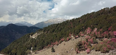 तुंगनाथ,tungnath trick