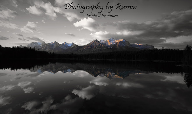 Photography by Ramin