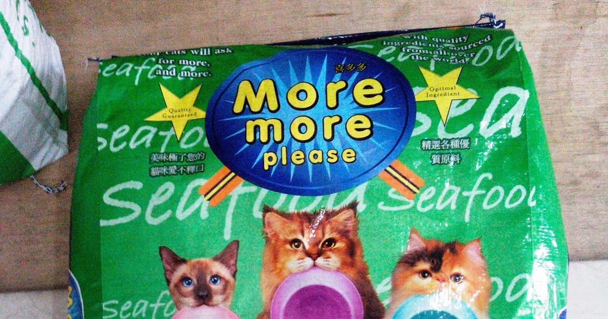 more more please cat food