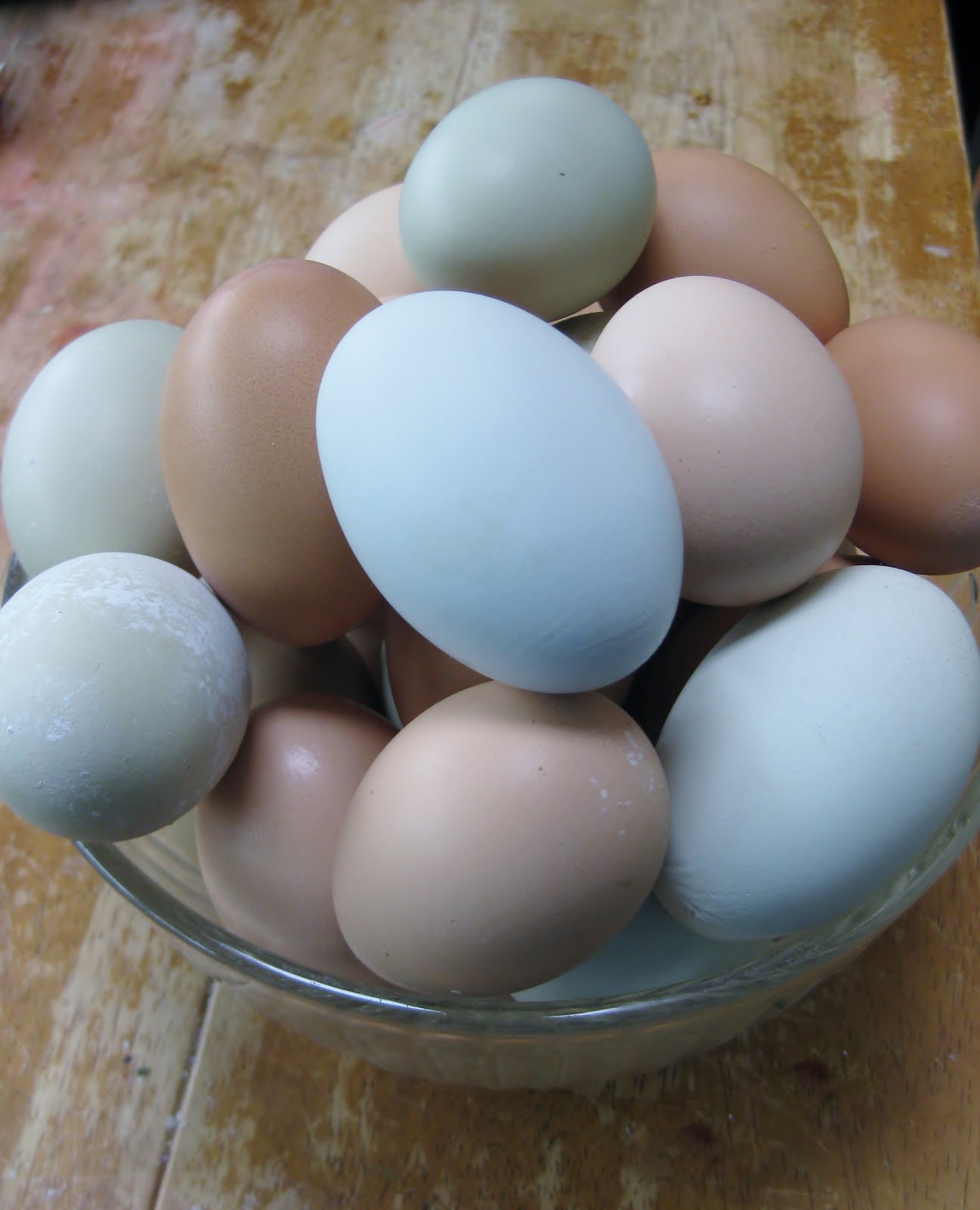 The Great Egg Dilemma or 5 ways to use up a lot of eggs