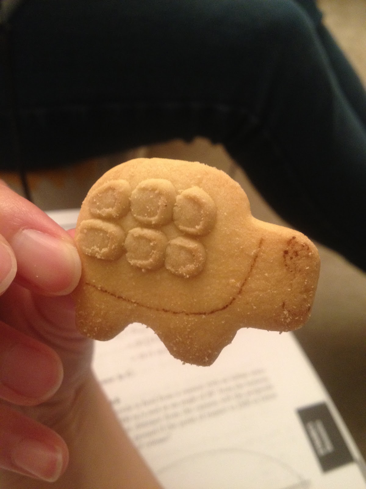 Food Through My Lens Japanese Butter Cookies D