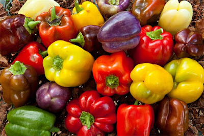 5 أغذية غنية بالنيكوتين و7 فوائد للنيكوتين!  Peppers
