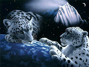 Related Posts: 3D wallpaper, Wallpaper. Posted by Zeny Hingoro at 10:27 PM (snow leopards)