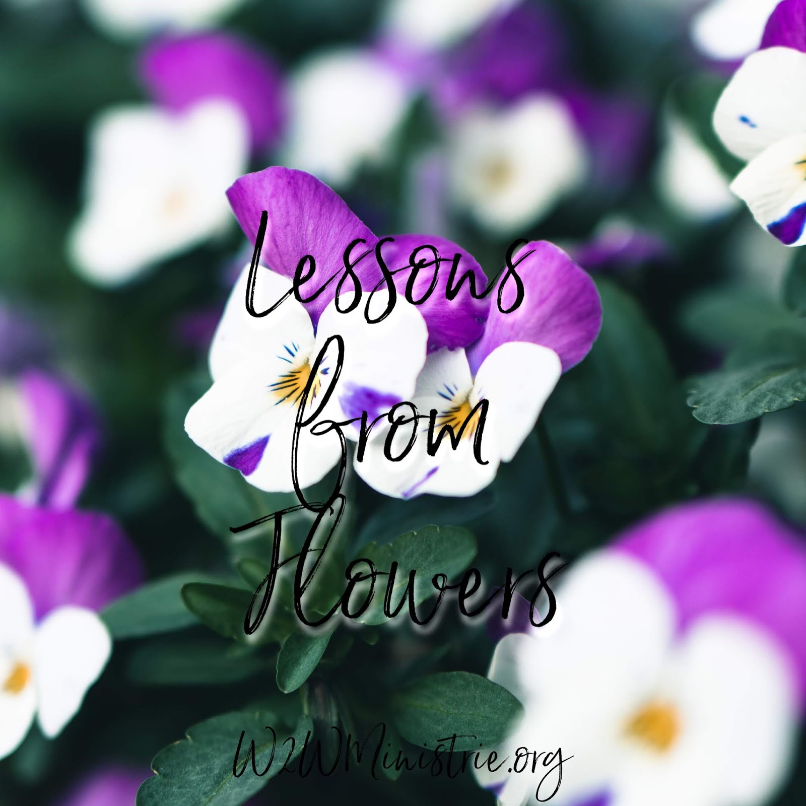 Woman to Woman Lessons From Flowers