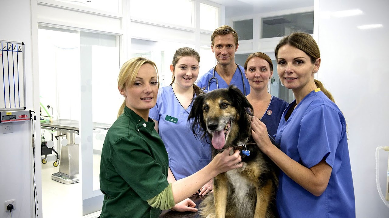 Animal Clinic Of West Lake Worth Trip to Lake