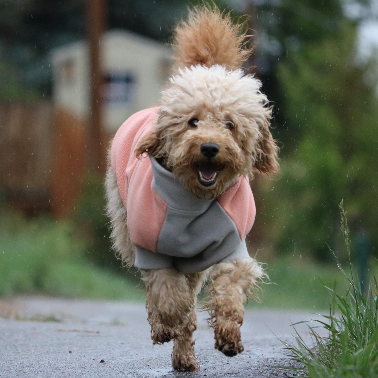 Fido Fleece Dog Coats. Best Selection Fido Fleece, Quick Ship!
