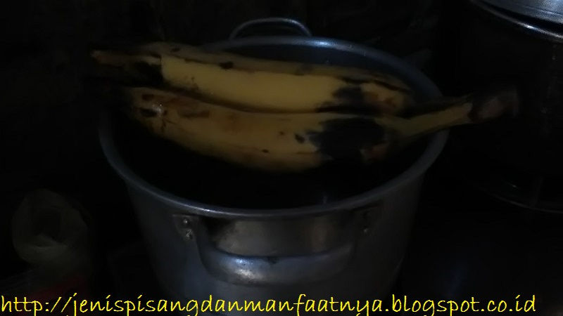 Pisang Tanduk Rebus Gambar Harga Satu Tandan Pisang Tanduk Dan Pisang Tanduk Rebus