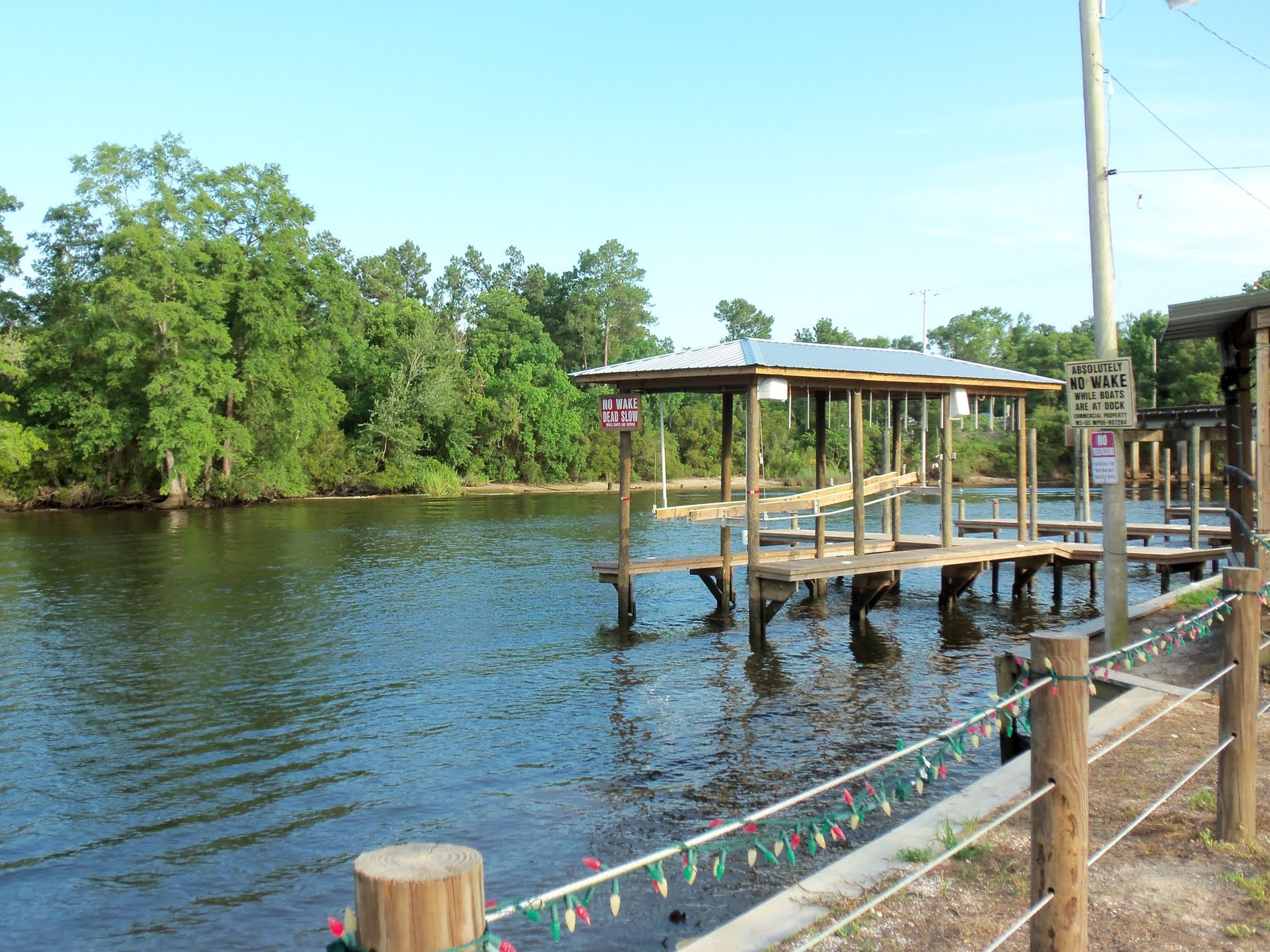 Adventures With The Renegade Reps Mississippi to see Lazy Magnolia