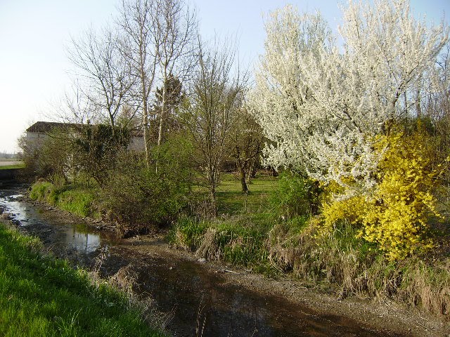 BALYAS Parco Del MIncio