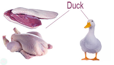Duck,Duck meat,হাঁসের মাংস