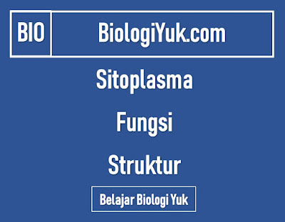 Sitoplasma: Fungsi, Struktur, Gambar Lengkap Sitoplasma: Fungsi, Struktur, Gambar Lengkap