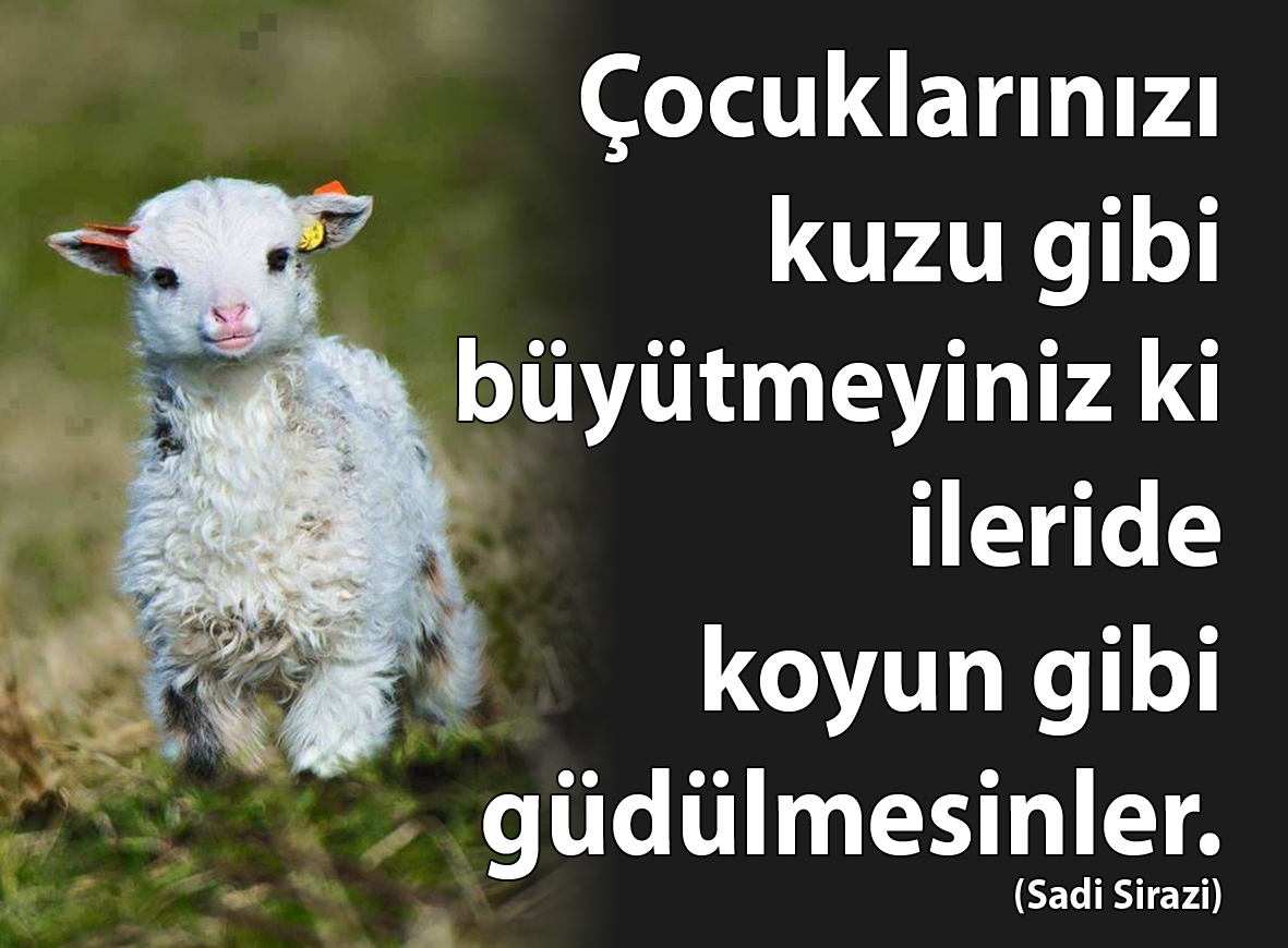 Faydali Paylasimlar Mayis 2016