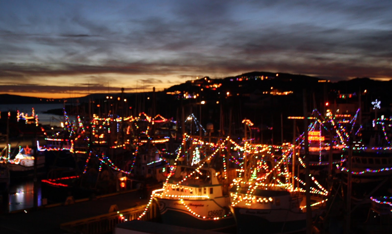 My Dark Cove Pantry Port de Grave Annual Boat Lighting