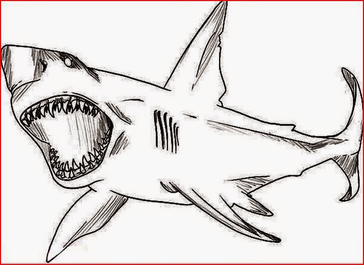 Best free printable shark coloring pages | Hudson Website
