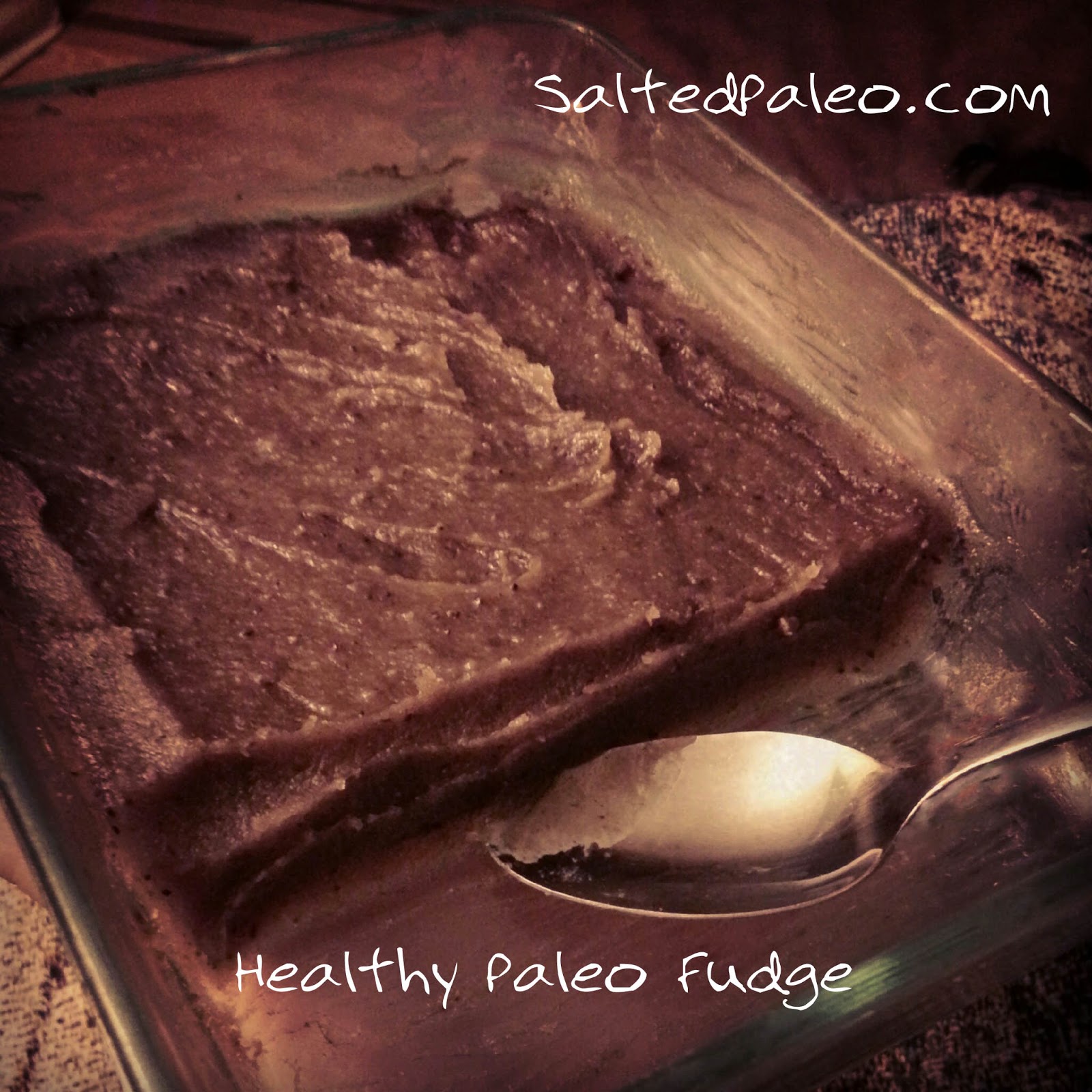 Salted Paleo: Raw Chocolate Sunflower Seed Fudge (scd, paleo, VITAMIX)