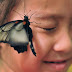 Documental: Mariposas del Mekong
