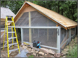 chicken coop run hardware cloth predator essentials pen security proof around door without chick head apron glossary illustrated luxuries aka